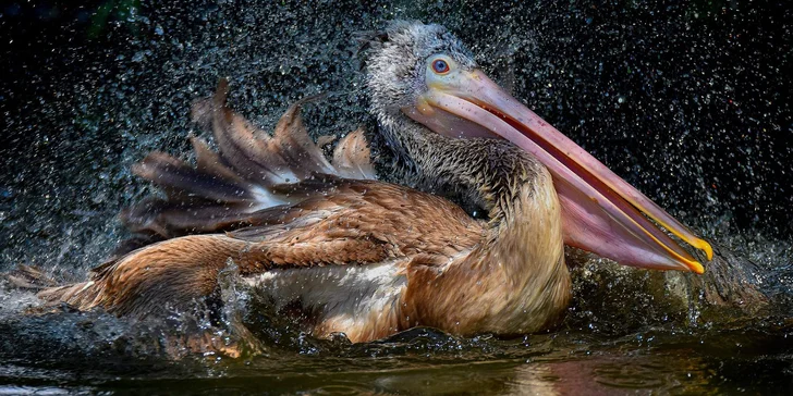 6hodinový online fotografický kurz: teorie, praktické focení i podpora po kurzu