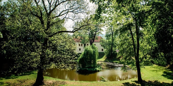 Prohlédnete si interiéry i nádhernou zahradu s rybníčkem. 