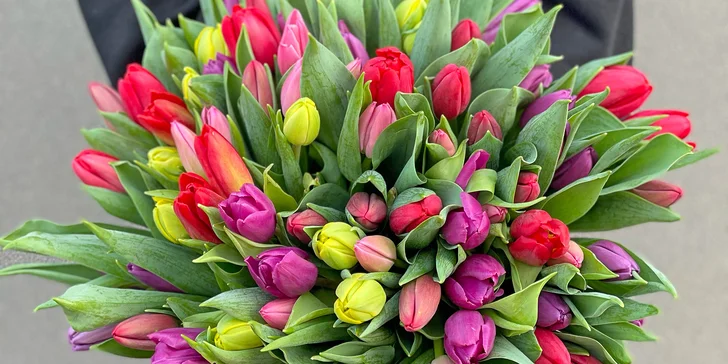 25, 51 nebo 101 holandských tulipánů, které vykouzlí úsměv na tváři
