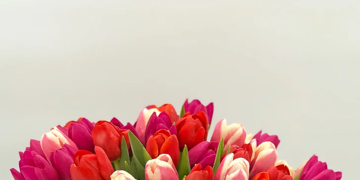 25, 51 nebo 101 holandských tulipánů, které vykouzlí úsměv na tváři
