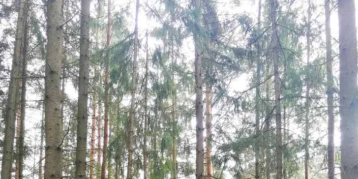 Relax v útulném penzionu na Domažlicku bez stravy nebo se snídaní