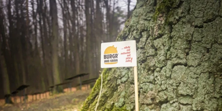 Burgr jako kráva podle výběru, hranolky a tatarka pro 1 i 2