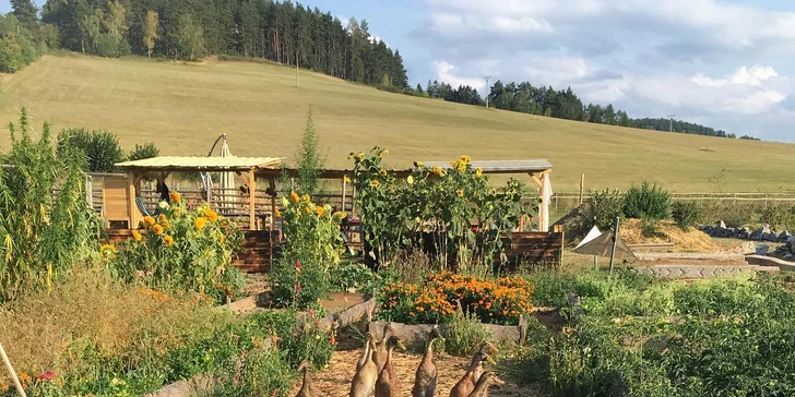 Piknik v jedlém parku Pastvina pro 1–6 osob: košík s hlavním jídlem, dezerty a pitím vč. nádobí a deky