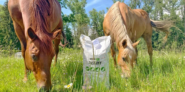 Piknik v jedlém parku Pastvina pro 1–6 osob: košík s hlavním jídlem, dezerty a pitím vč. nádobí a deky