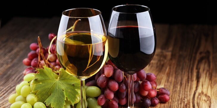 Přiťukněte si: červená i bílá vína z jižní Moravy, 5 druhů, 2 nebo 4 l