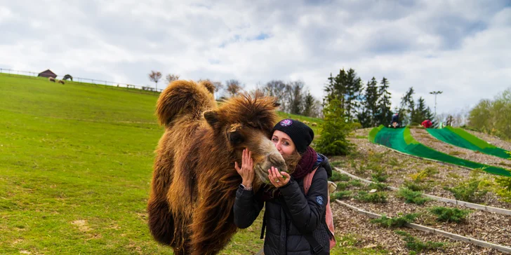 Celodenní vstupenky do Farmaparku pro dítě či dospělého nebo pro celou rodinu