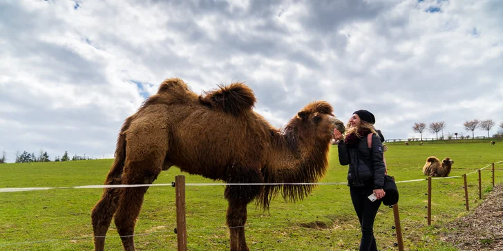 Celodenní vstupenky do Farmaparku pro dítě či dospělého nebo pro celou rodinu