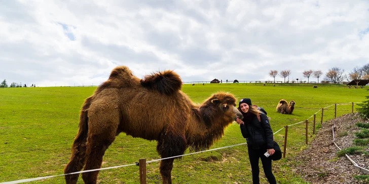 Celodenní vstupenky do Farmaparku pro dítě či dospělého nebo pro celou rodinu