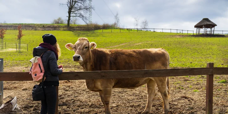 Celodenní vstupenky do Farmaparku pro dítě či dospělého nebo pro celou rodinu