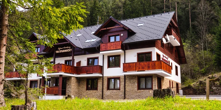 Luxusně zařízené apartmány: atraktivní lokalita, slevy do aquaparků pro 2-4