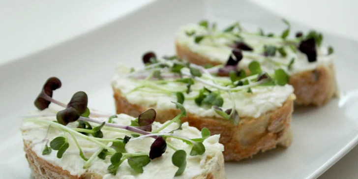 Microgreens plné živin a vitamínů: ředkvička, slunečnice nebo hrách