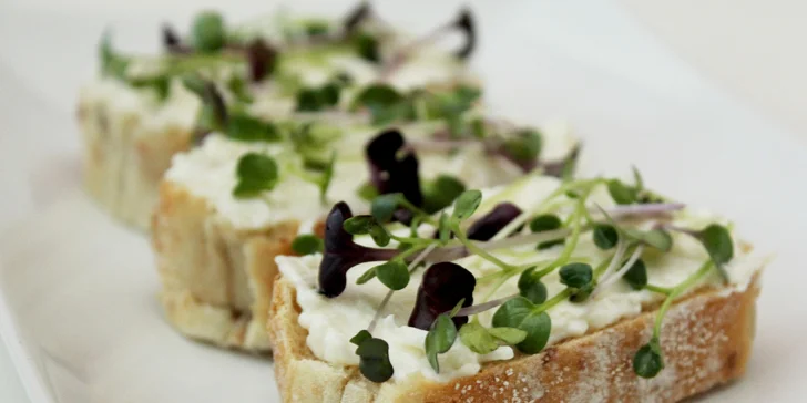 Microgreens plné živin a vitamínů: ředkvička, slunečnice nebo hrách