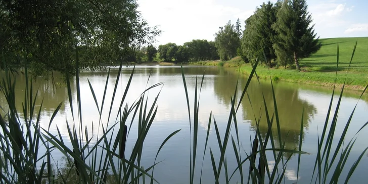 Až třídenní povolenka na rybaření na soukromém rybníku na Vysočině