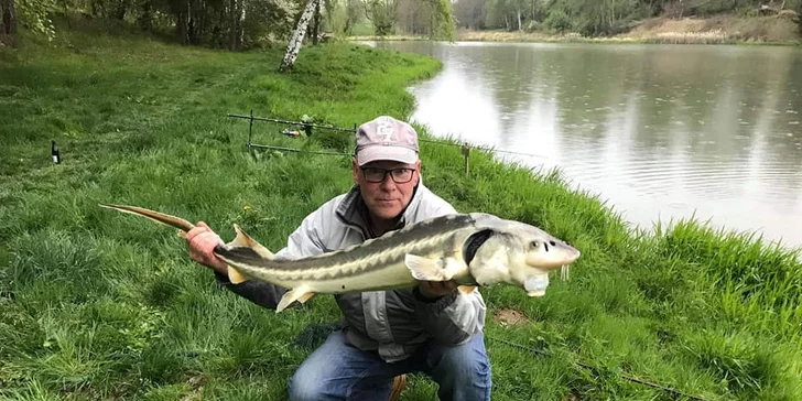 Až třídenní povolenka na rybaření na soukromém rybníku na Vysočině