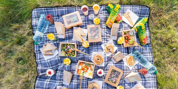Dobroty na piknik vč. rozvozu: sendviče, bagely, saláty, dezerty i džusy až pro 8 osob