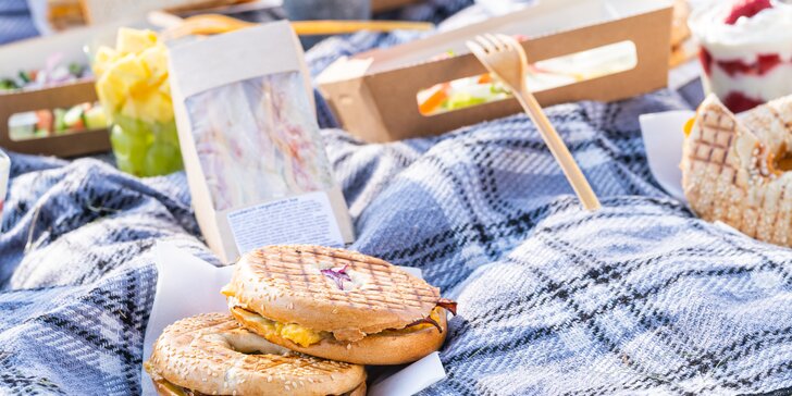 Dobroty na piknik vč. rozvozu: sendviče, bagely, saláty, dezerty i džusy až pro 8 osob
