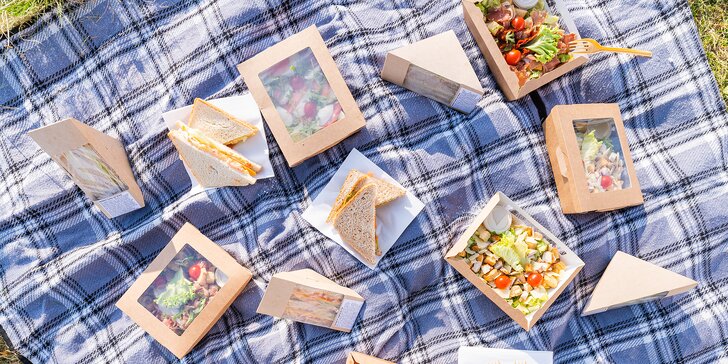 Dobroty na piknik vč. rozvozu: sendviče, bagely, saláty, dezerty i džusy až pro 8 osob