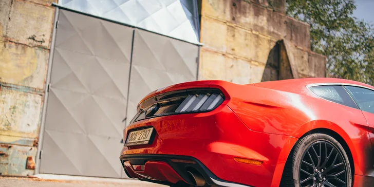 Zkroťte 900 koní: jízda ve Fordu Mustang GT Roush či pronájem až na 24 hodin