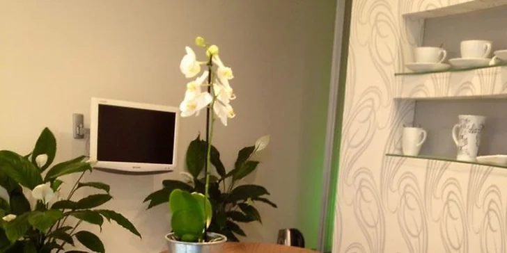 Zeštihlující detoxikační zábal Magic Wrap