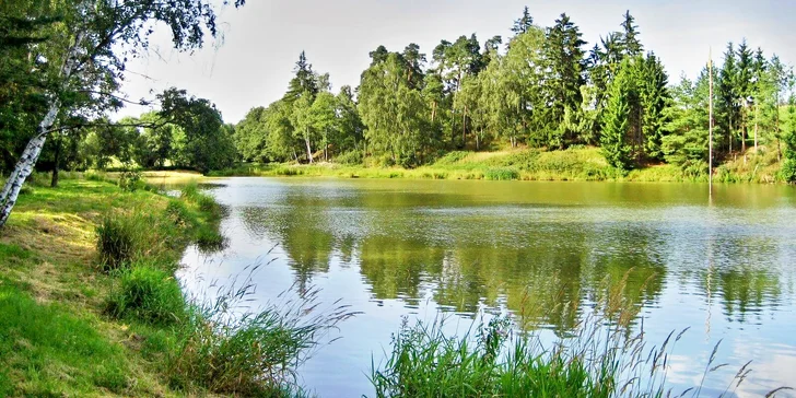 Až třídenní povolenka na rybaření na soukromém rybníku na Vysočině