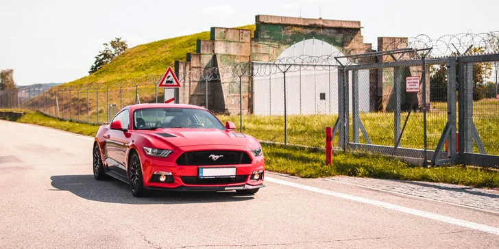 Zkroťte 900 koní: jízda ve Fordu Mustang GT Roush či pronájem až na 24 hodin