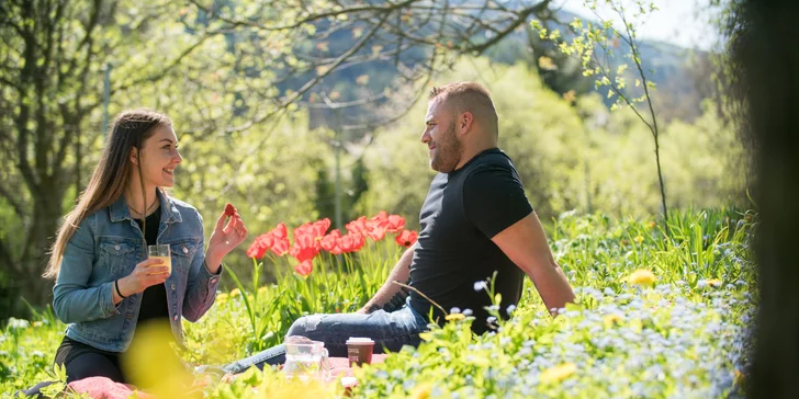 Piknikové koše pro 2–4 osoby: raw dezerty, sendviče, smoothie i limonády a veškeré vybavení