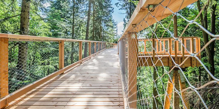 Pohoda v Krkonoších: polopenze, sauna a vstup na Stezku v korunách stromů