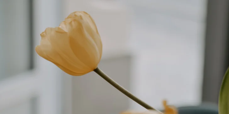 Káva, limonáda nebo třeba milk shake v rodinné kavárničce na Andělu