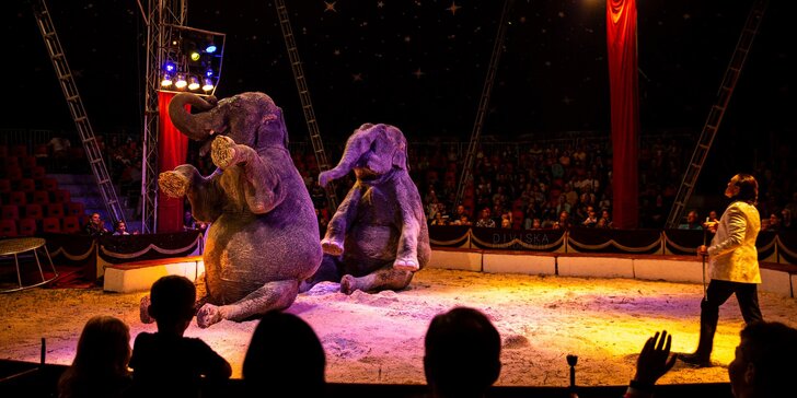 Hurá do Cirkusu Humberto: zbrusu nová show, akrobati, klauni i exotická zvířata v Prostějově