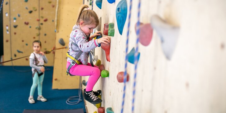 Celodenní vstupné na lezeckou stěnu pro dospělé i s dětmi, kromě lezení třeba taky beachvolejbal