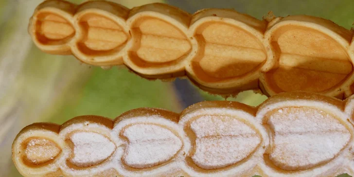 Dvě nebo čtyři originální belgické waffle s cukrem či bez z Dědkova mlýna