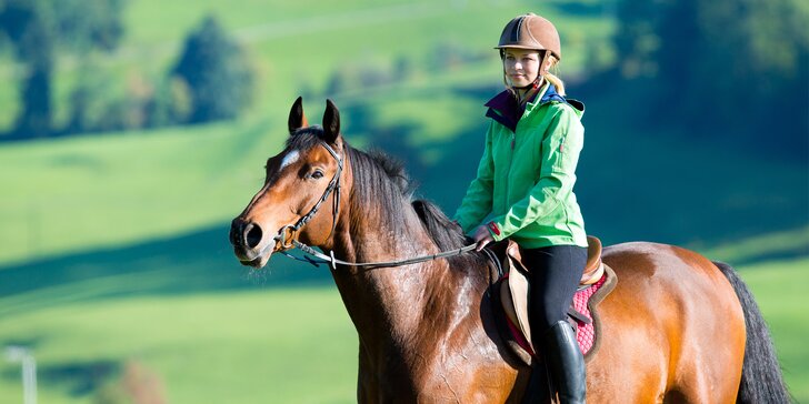 Výlety s koňmi do přírody: Jezdecký výcvik a lekce přirozené komunikace