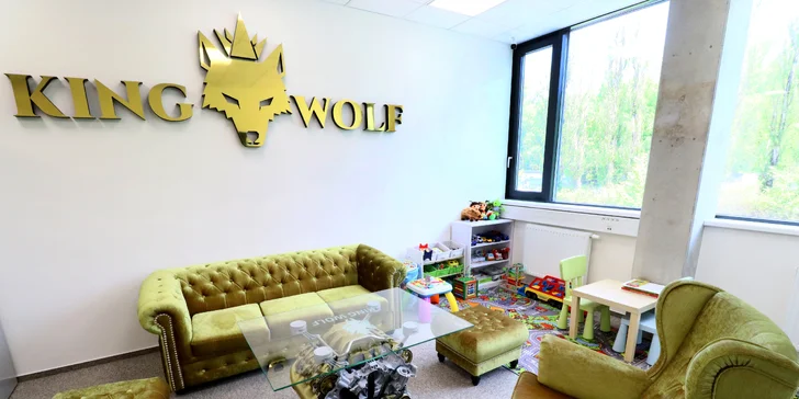 Mytí auta a čištění interiéru: kola a podběhy, impregnace plastů, leštění oken i zrcátek, motor