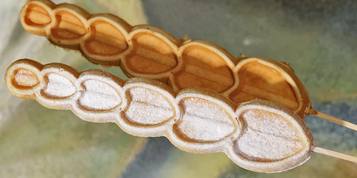 Dvě nebo čtyři originální belgické waffle s cukrem či bez z Dědkova mlýna