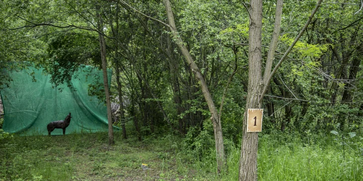 Jedna hra 3D lukostřelby v Pirátí zátoce pro děti, studenty i dospělé