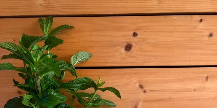 Rodinná kavárna Opava: ovocná limonáda dle výběru, melounový fresh i ledové frappé