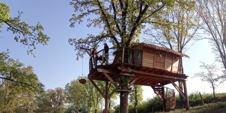 Pobyt v domku na stromě: úžasná romantika pro dva i nevšední zážitek pro děti