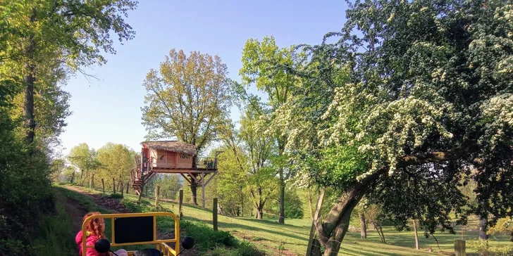 Pobyt v domku na stromě: úžasná romantika pro dva i nevšední zážitek pro děti