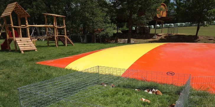 Pobyt v domku na stromě: úžasná romantika pro dva i nevšední zážitek pro děti