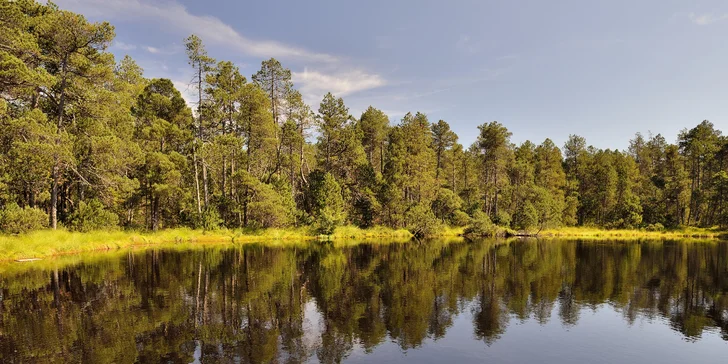 Dovolená v Jeseníkách na Ramzové s polopenzí, wellness, půjčením kol i letním bazénem