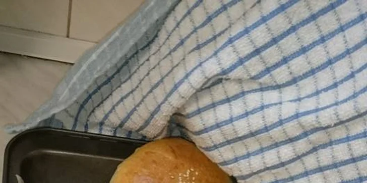Hovězí hamburger nebo cheeseburger s BBQ omáčkou pro jednoho i pro dva