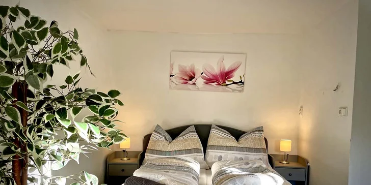 Až 8denní pobyt přímo u Lipna: vířivka, pokoj, bungalov či apartmán nebo chatka