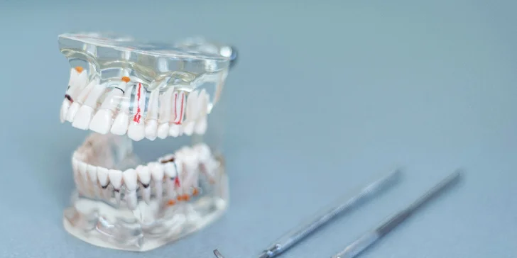 Dentální hygiena pro děti i dospělé: instruktáž, air flow, leštění i fluoridace