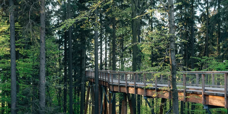 Wellness pobyt v Janských Lázních: snídaně či polopenze, bazén, vířivka i sauna