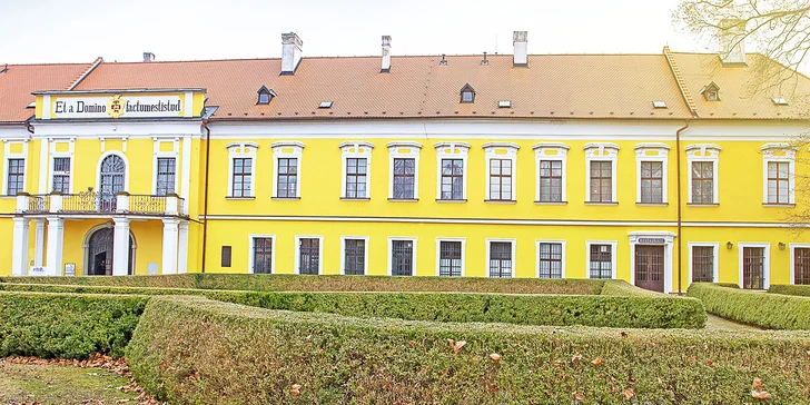 Zámecká růže