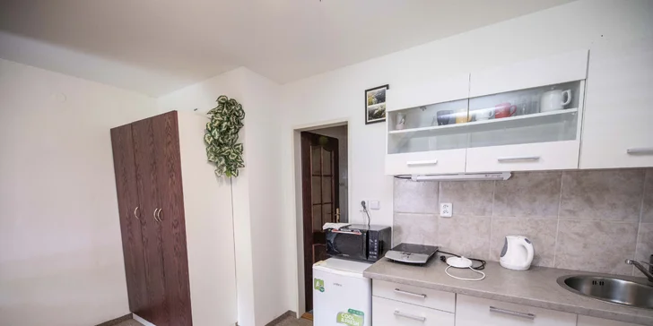 Až 8denní pobyt v Krkonoších: apartmány až pro 8 osob, zahrada i bazén