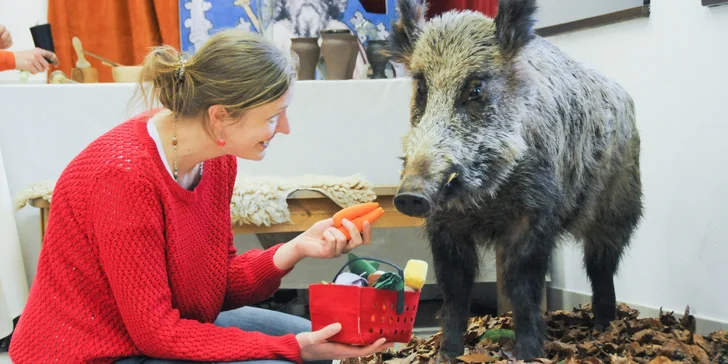 Vstupenka pro jednotlivce i celou rodinu na výstavu Jídlo napříč staletími
