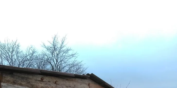 Letní jezdecký tábor pro děti od 7 let: aktivity s koňmi, hry, zábava i výlety