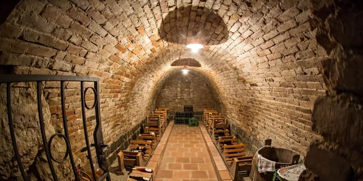Pohodový a neopakovatelný zážitek v 3* penzionu Réva ve Valticích.