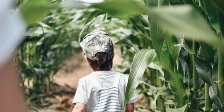 Vymotejte se z největšího kukuřičného bludiště: vstupy pro děti i dospělé